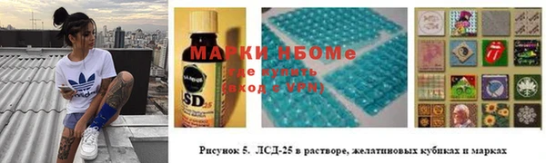 дживик Абаза