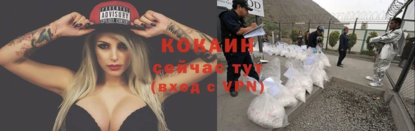 дживик Абаза