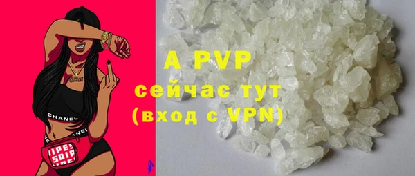 молекула духа Ростов