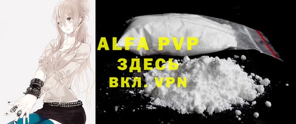 молекула духа Ростов