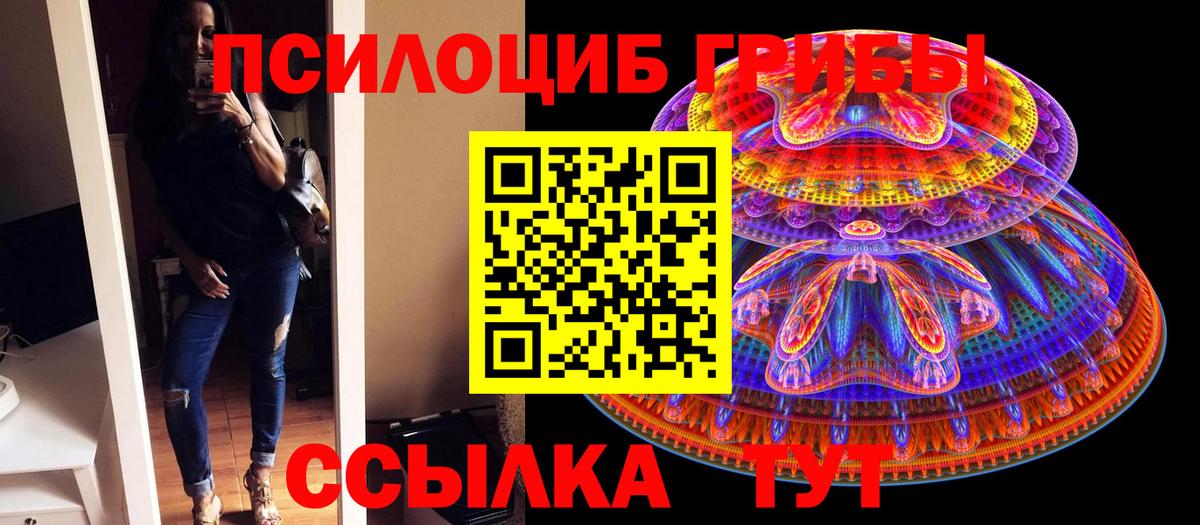 Псилоцибиновые грибы Psilocybine cubensis Курчатов